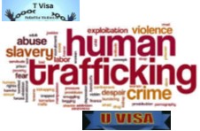 Human Trafficking  U Visa - T Visa Immigrant Trust Directive