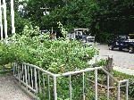 Landscaping at Borough Hall