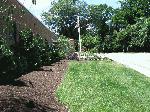 Landscaping at Borough Hall