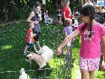 Butler Library Petting Zoo